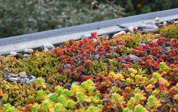 the cost of Pibsbury green roof installation