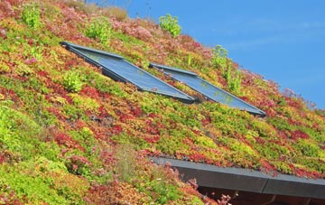 Pibsbury living roof systems