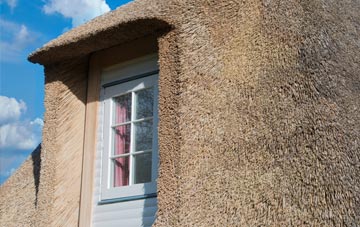 Pibsbury thatch roof disadvantages